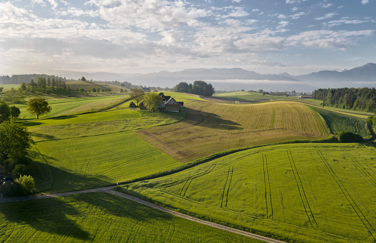 Hügelige Felderlandschaft rund um Knonau
